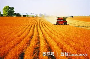 護(hù)航農(nóng)業(yè)發(fā)展保險擔(dān)重任,5類保險首秀中央一號文件