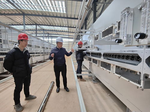 5萬噸高端鋰電負極材料項目7月投產，建筑裝飾材料產業如何轉型制勝新賽道？